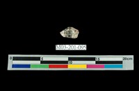 藏品(水晶)的圖片